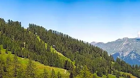 Pierre & Premium Les Hauts Bois 4*