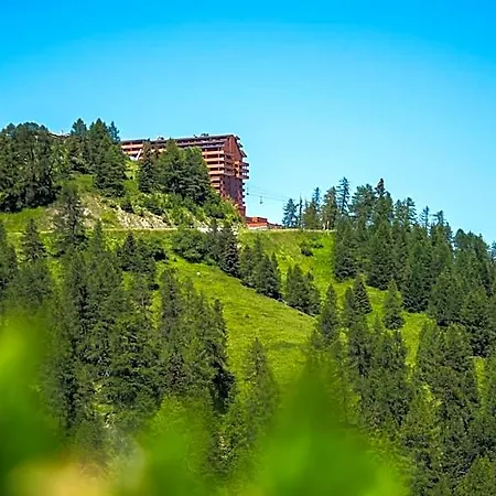 Pierre & Premium Les Hauts Bois 4* איימה